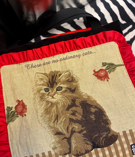 There are no ordinary cats ♡ vakosamettikassi